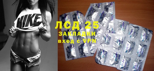 стаф Алзамай