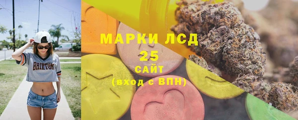 стаф Алзамай