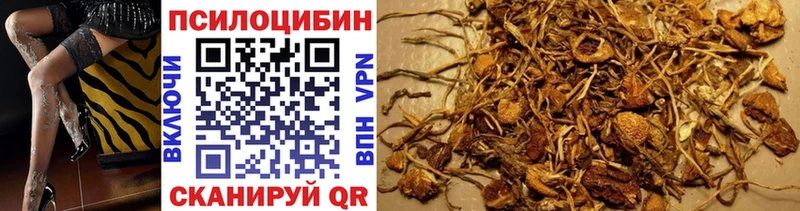 Псилоцибиновые грибы Magic Shrooms  Буй 