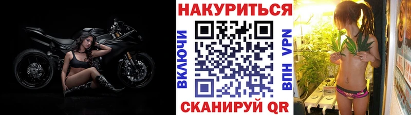 Канабис Bruce Banner  Буй 